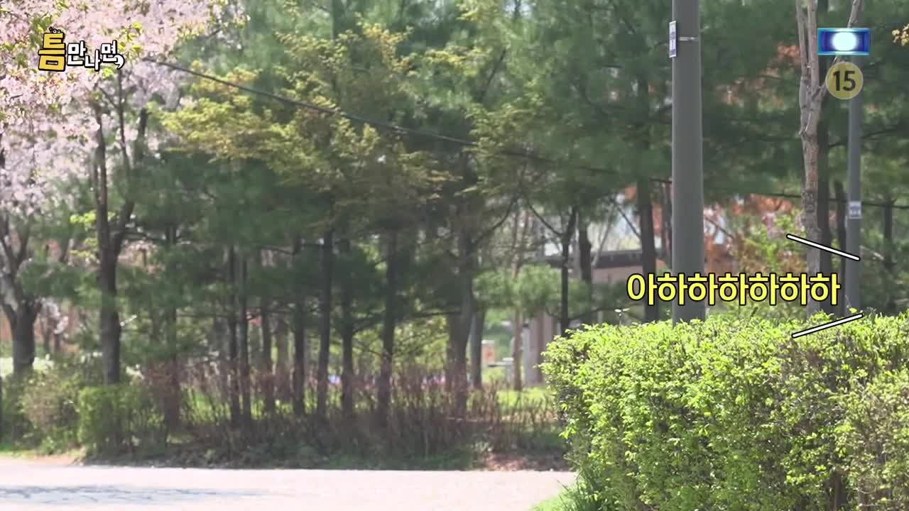 틈만나면 2025-05-13