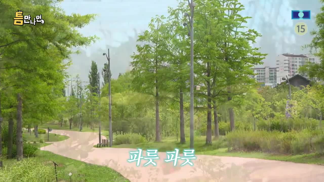 틈만나면 2025-07-15
