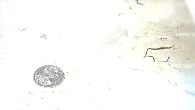 한국인의 밥상 2025-09-11