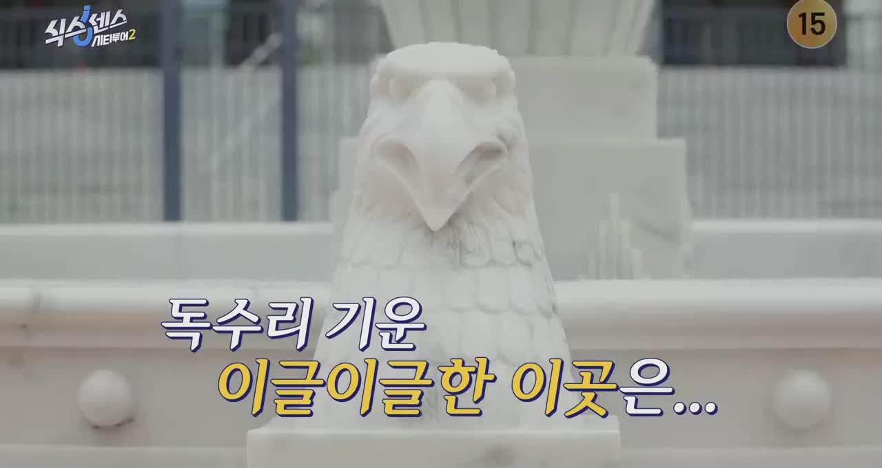 식스센스: 시티투어 2025-11-06