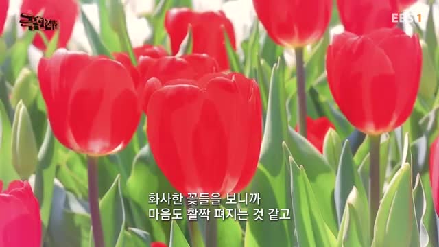 극한직업 2025-04-05