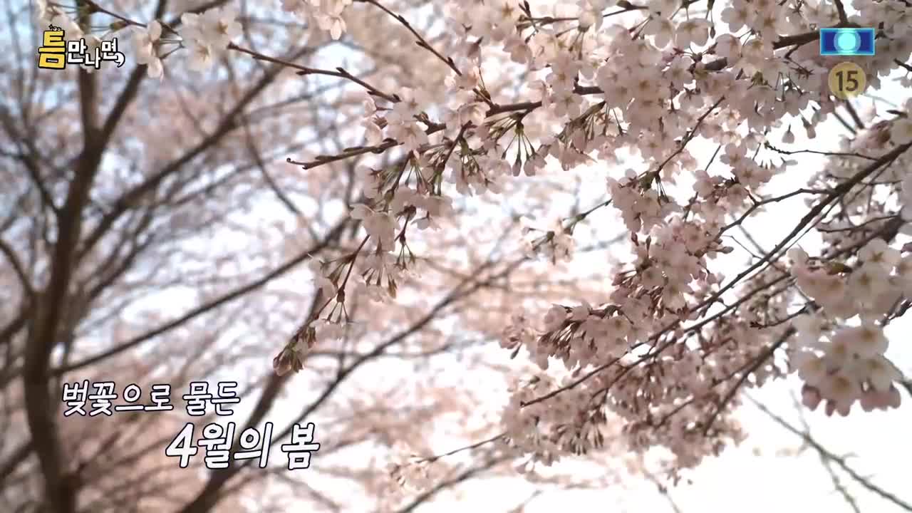 틈만나면 2026-04-14