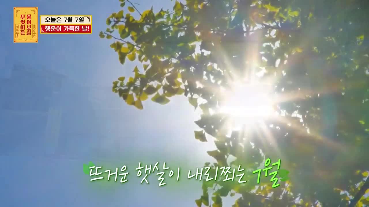 무엇이든 물어보살 제323회