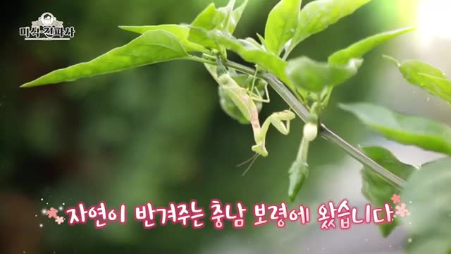 임원희의 미식전파사 제33회