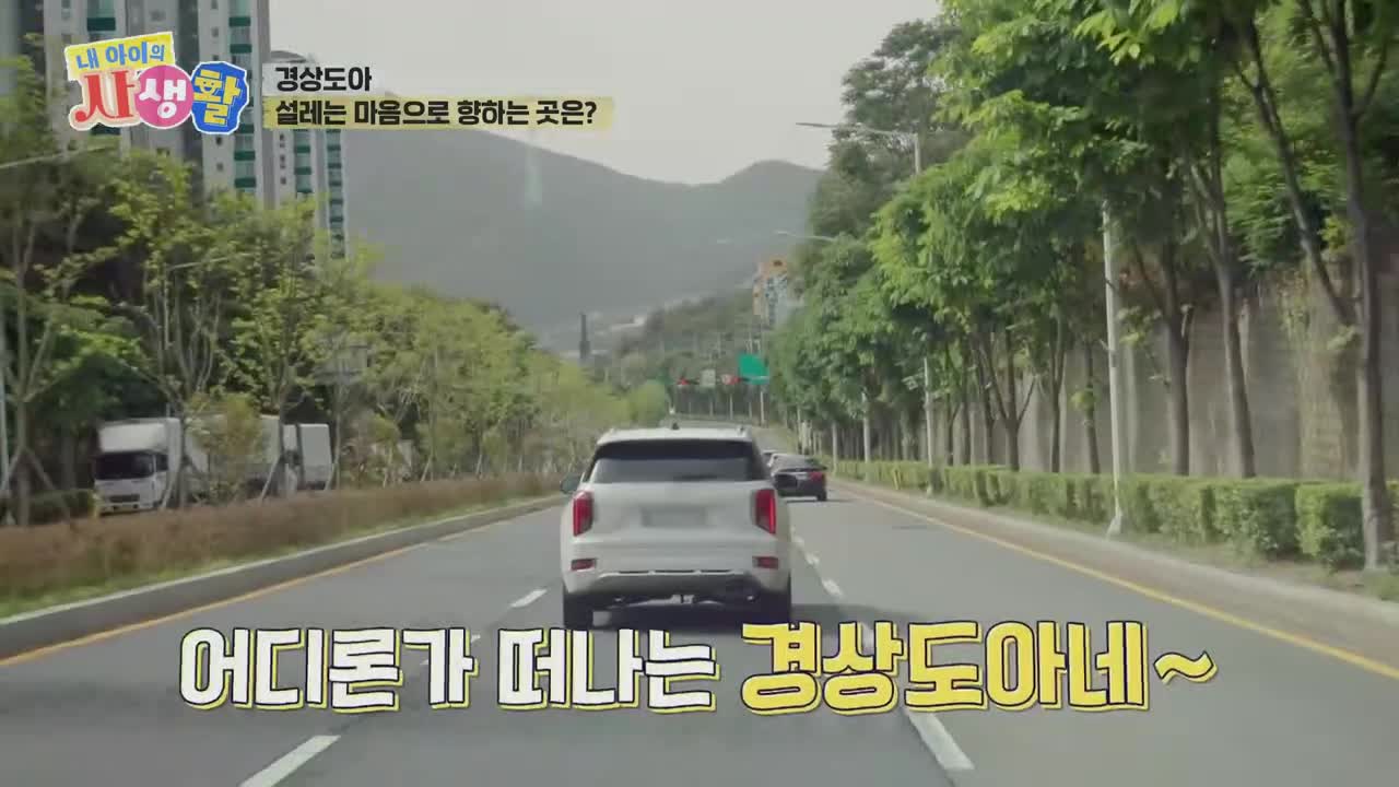내 아이의 사생활 2025-08-03