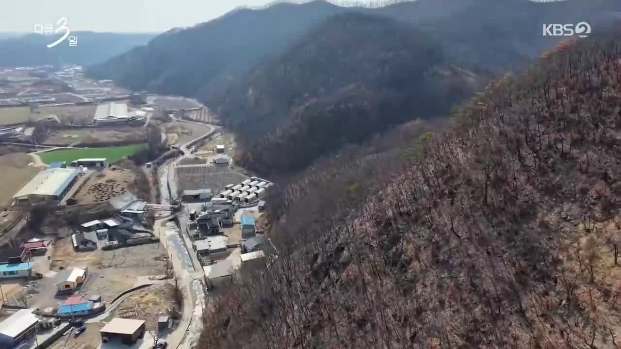 다큐멘터리 3일 2026-04-20