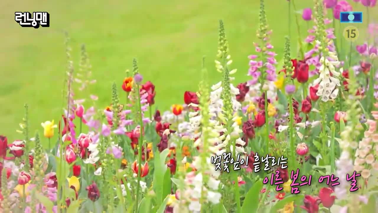 런닝맨 제801회