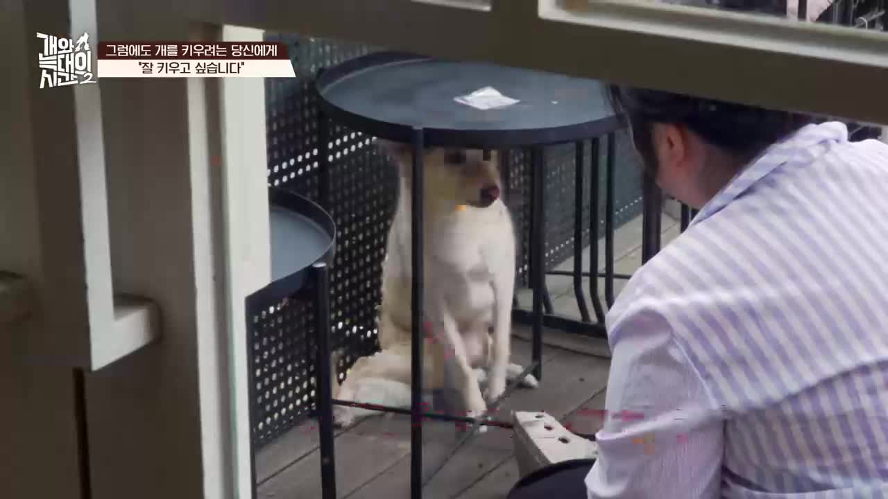 개와 늑대의 시간 시즌2 2026-05-20