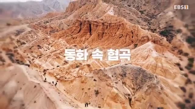 세계테마기행 2025-12-04