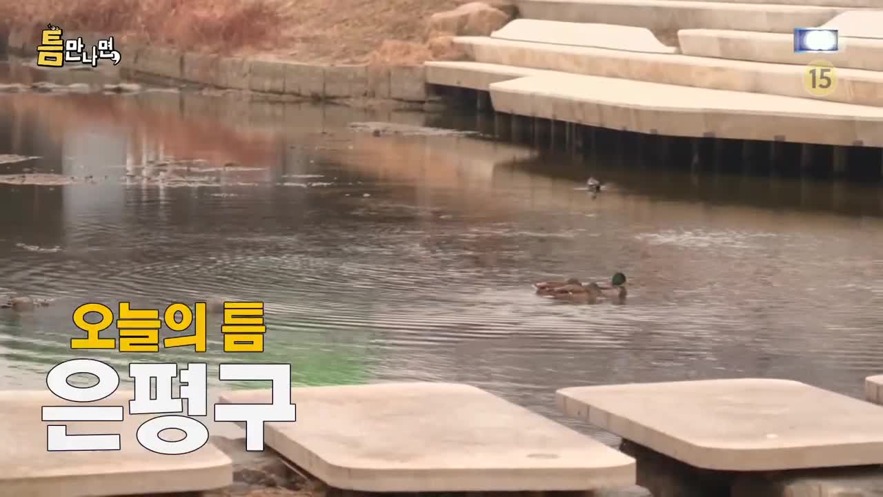 틈만나면 2026-03-03