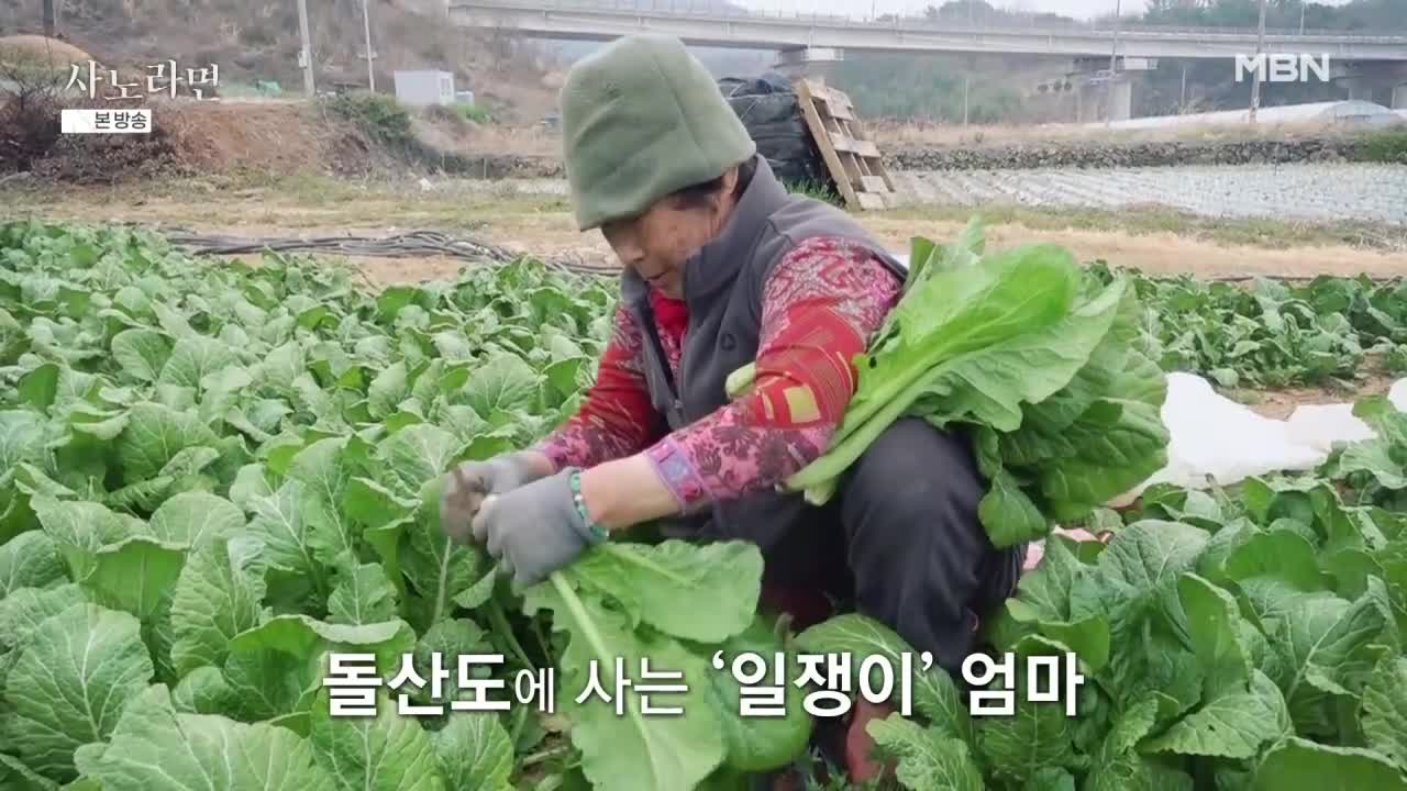 휴먼다큐 사노라면 2026-04-19