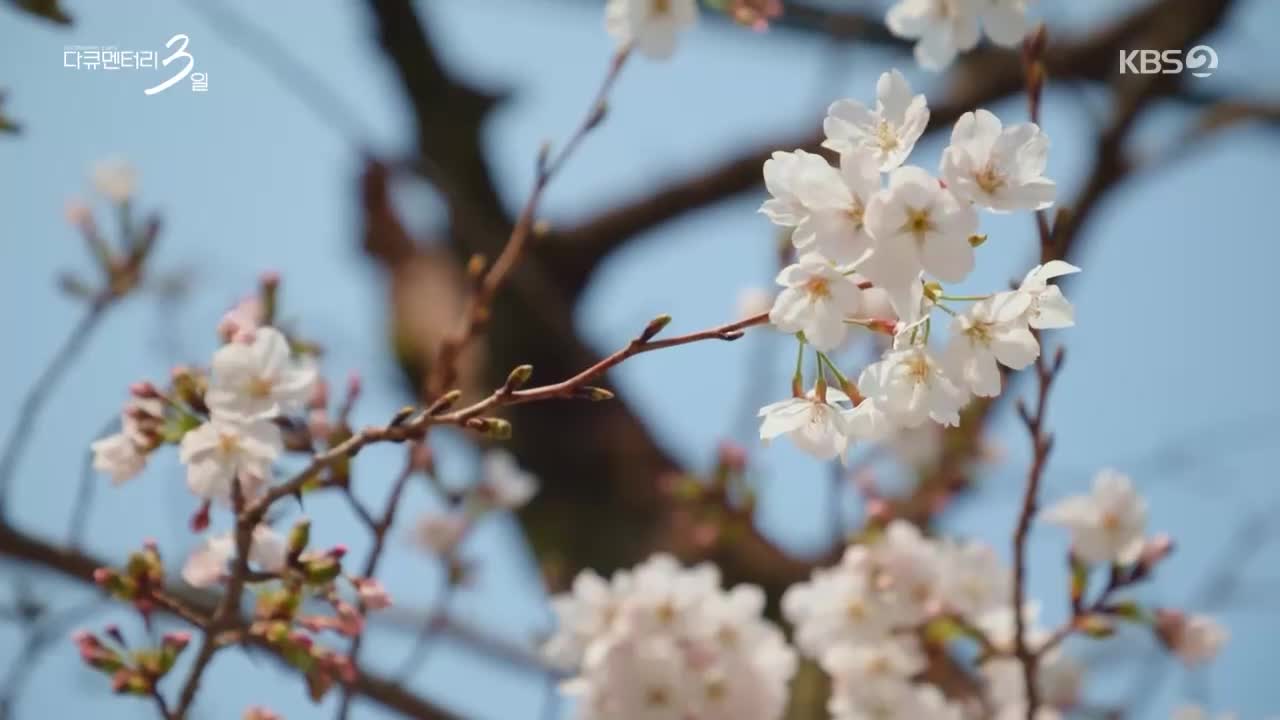 다큐멘터리 3일 2026-04-13