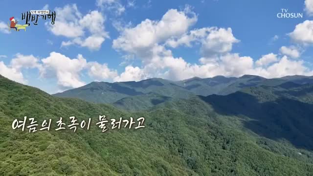 식객 허영만의 백반기행 제320회