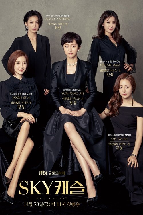 SKY 캐슬 제20회
