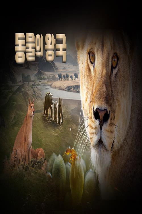 동물의 왕국 2025-01-05