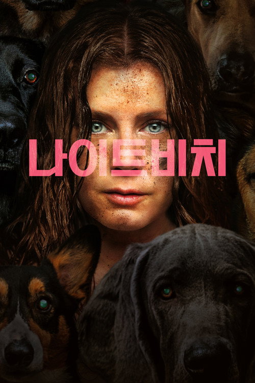 나이트비치(2024)