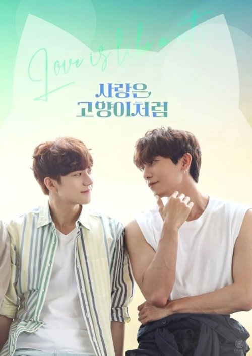 사랑은 고양이처럼 제12회
