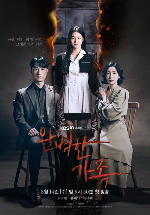 완벽한 가족 제12회