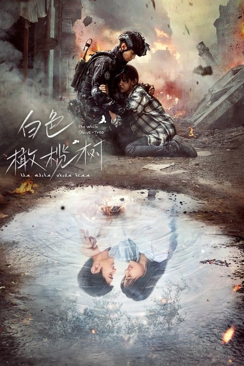 백색감람수 : 하얀 올리브 나무 24화