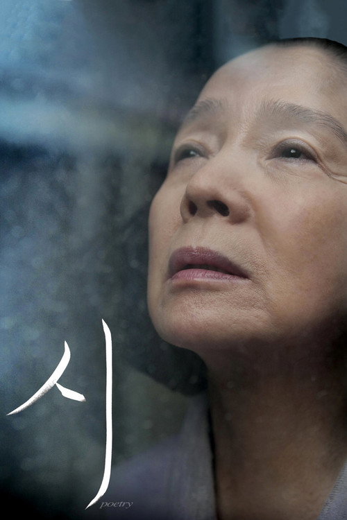 시 (2010)