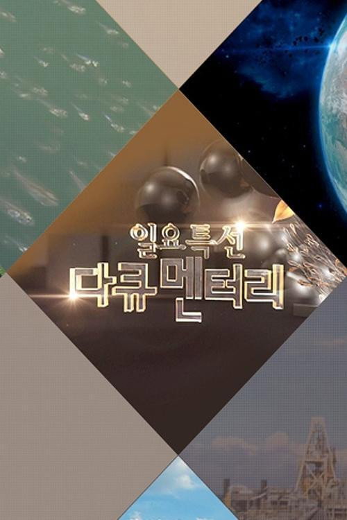 일요 특선 다큐멘터리 2024-12-29
