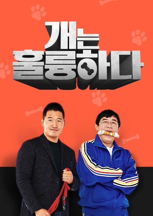 개는 훌륭하다 제30회