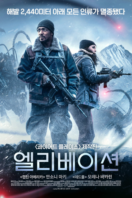 엘리베이션