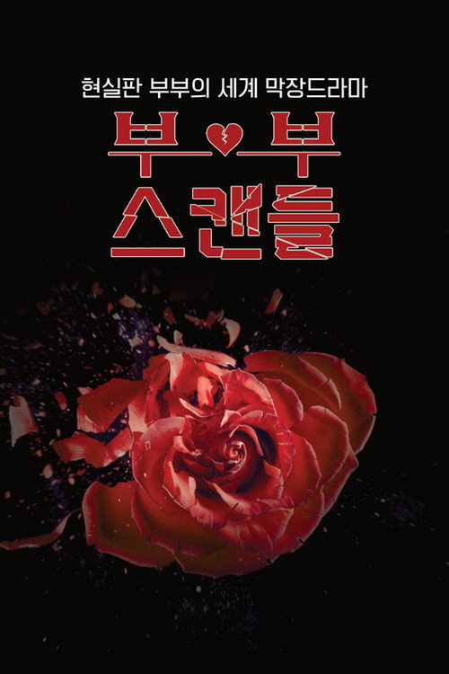 부부스캔들 제12회