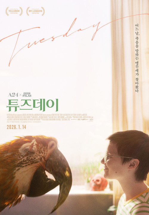 튜즈데이
