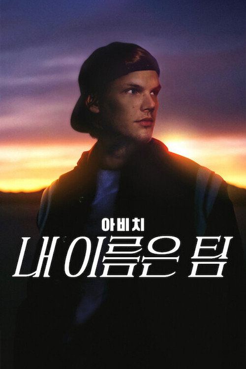 아비치 : 나의마지막쇼