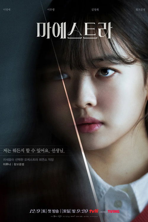 마에스트라 제12회
