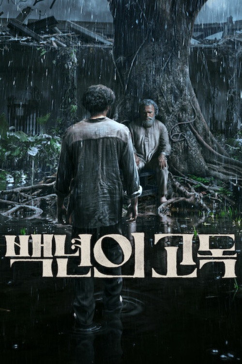 백년의 고독 2 제7회