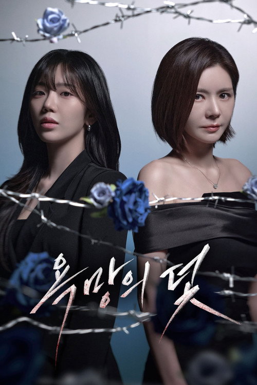욕망의 덫 제29회