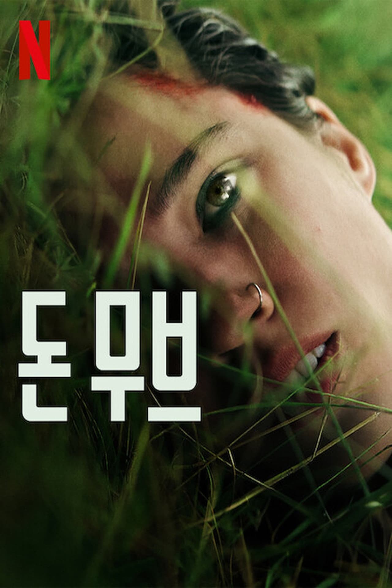 돈무브