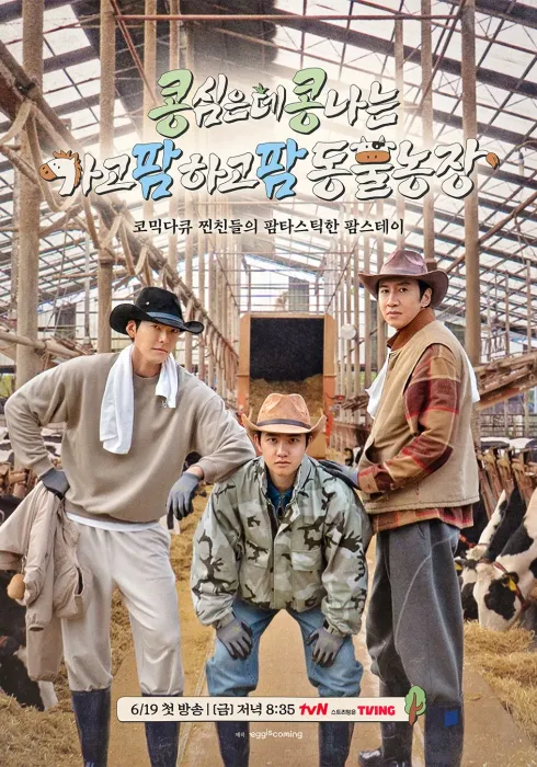 콩콩팜팜 2026-06-19